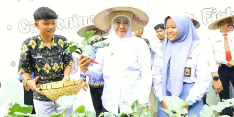Sekolah Ora Cuma Belajar, Tapi Panen! School Food Care SMAN 1 Pandaan Bikin Gubernur Jatim Angkat Topi
