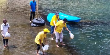 Wakil Ketua DPRD Klaten Tabur 25 Ribu Benih Ikan Nila di Sungai Pusur, Bukan Janji yang Ditebar, tapi Ikan Beneran!