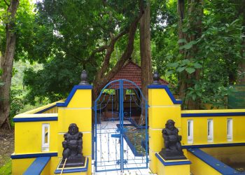 Hutan Jati Donoloyo: Sakralnya Sunyi, Lebatnya Sejarah